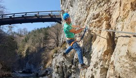Im Rottensteiner Steig